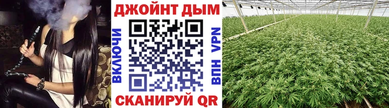 Шишки марихуана сатива  Давлеканово 